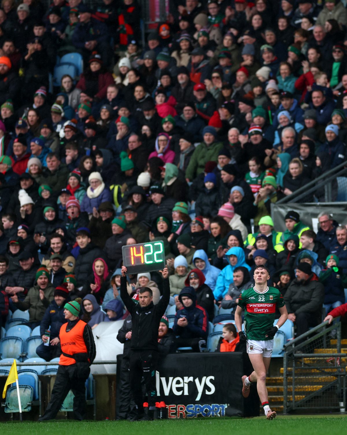 GAA match day crowd and player